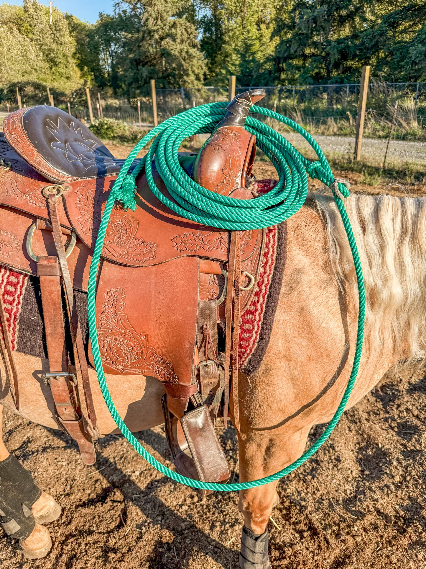 Practice Ropes
