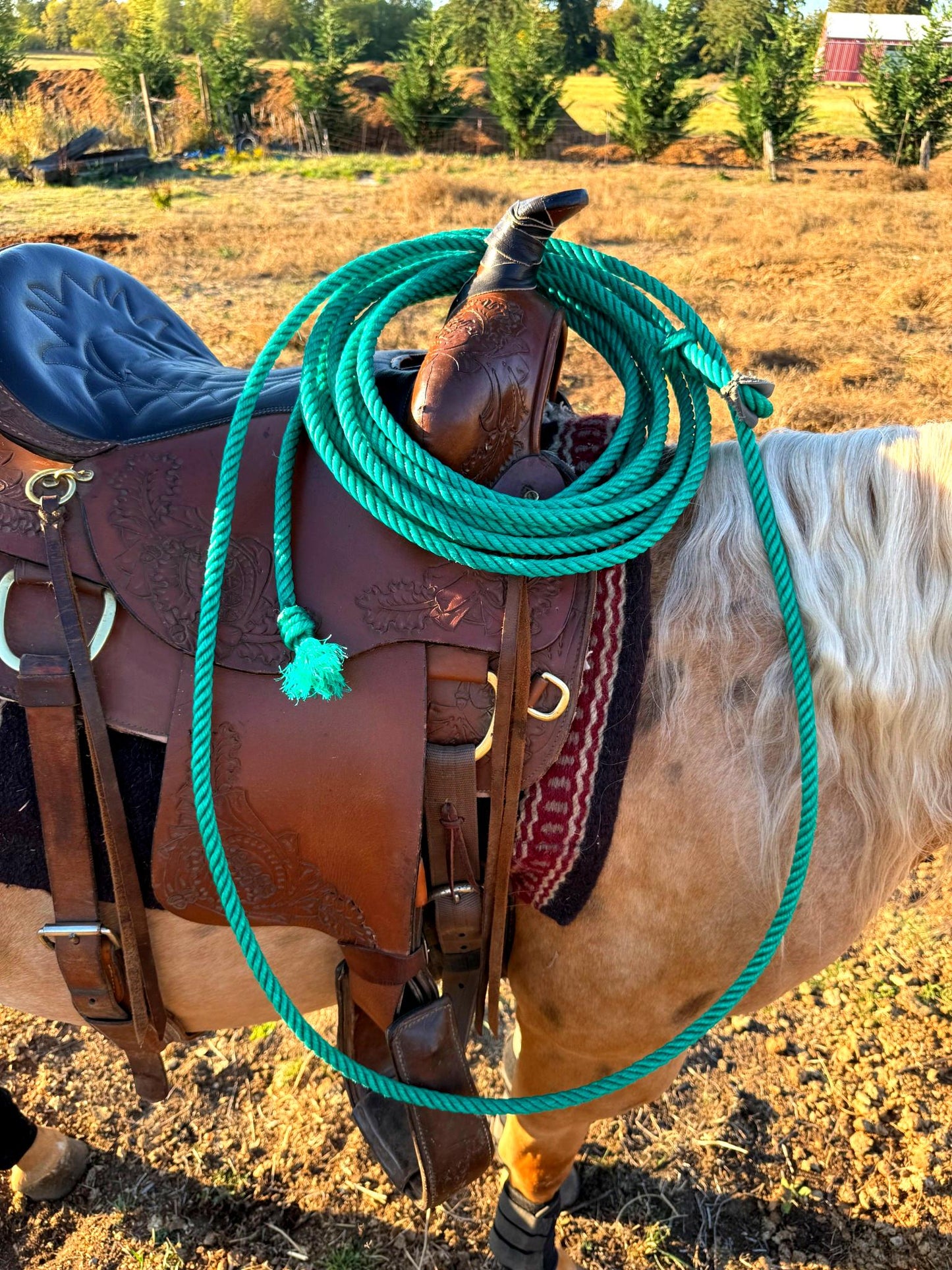 Practice Ropes