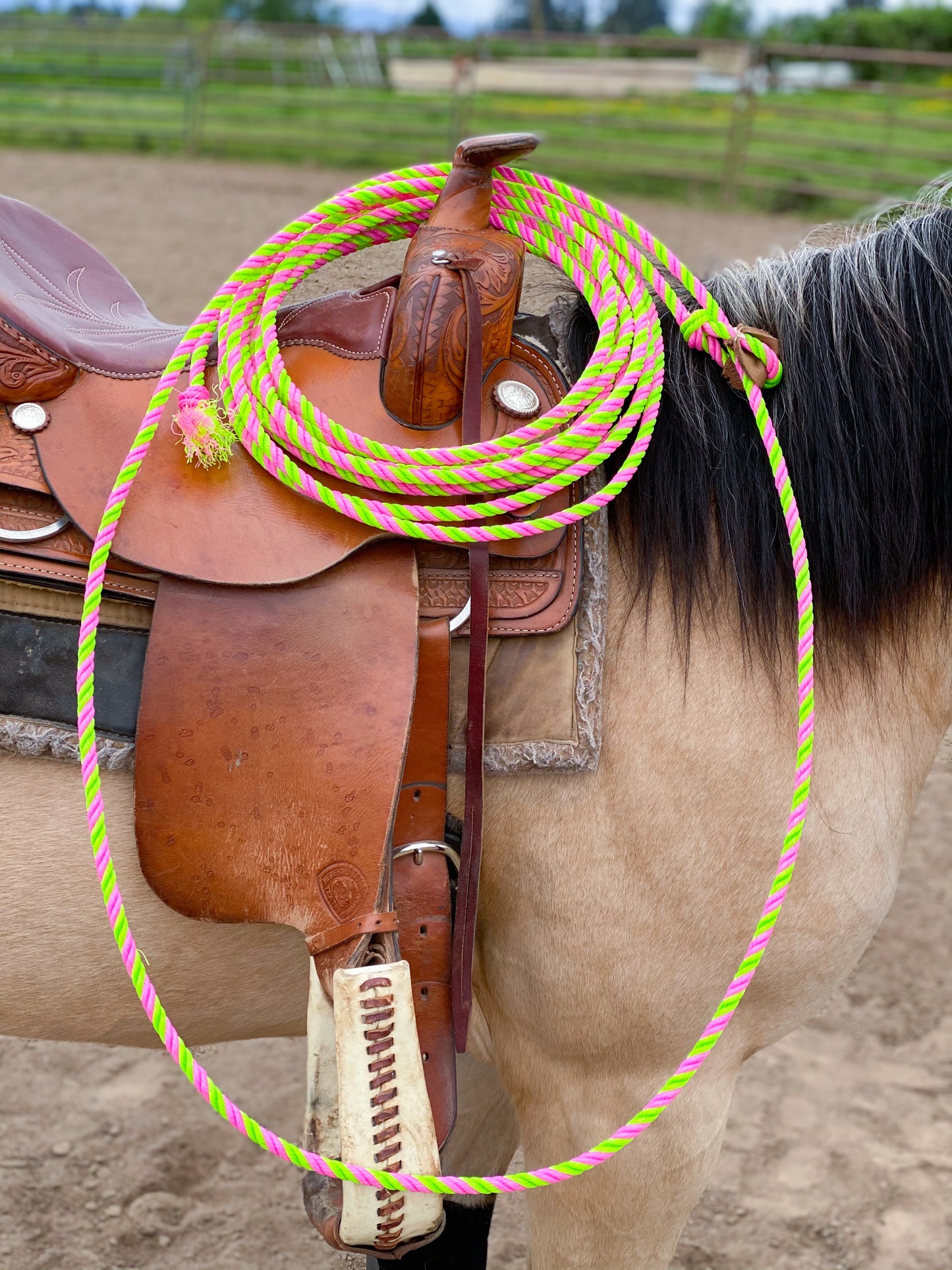 Practice Ropes