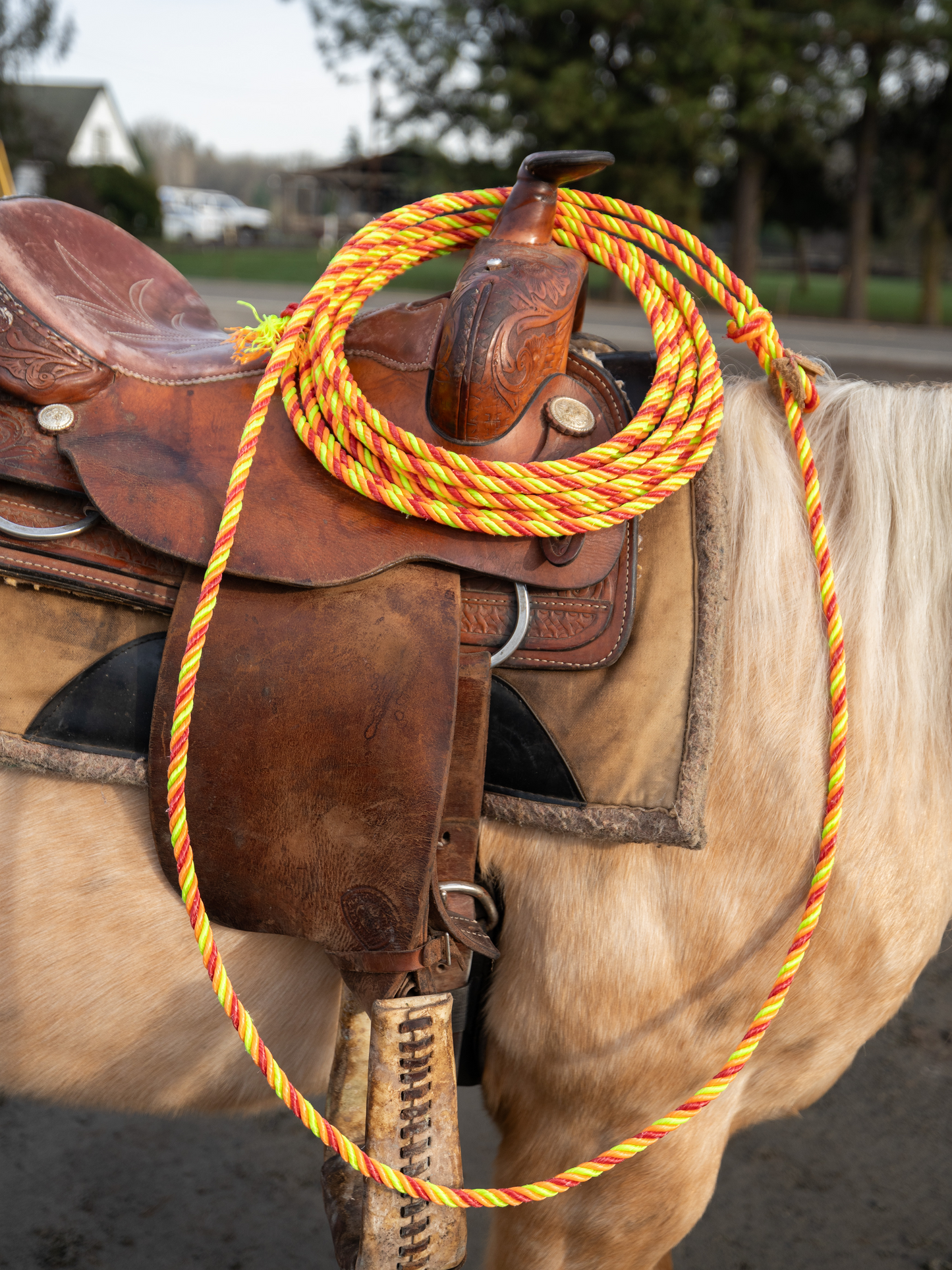 Practice Ropes