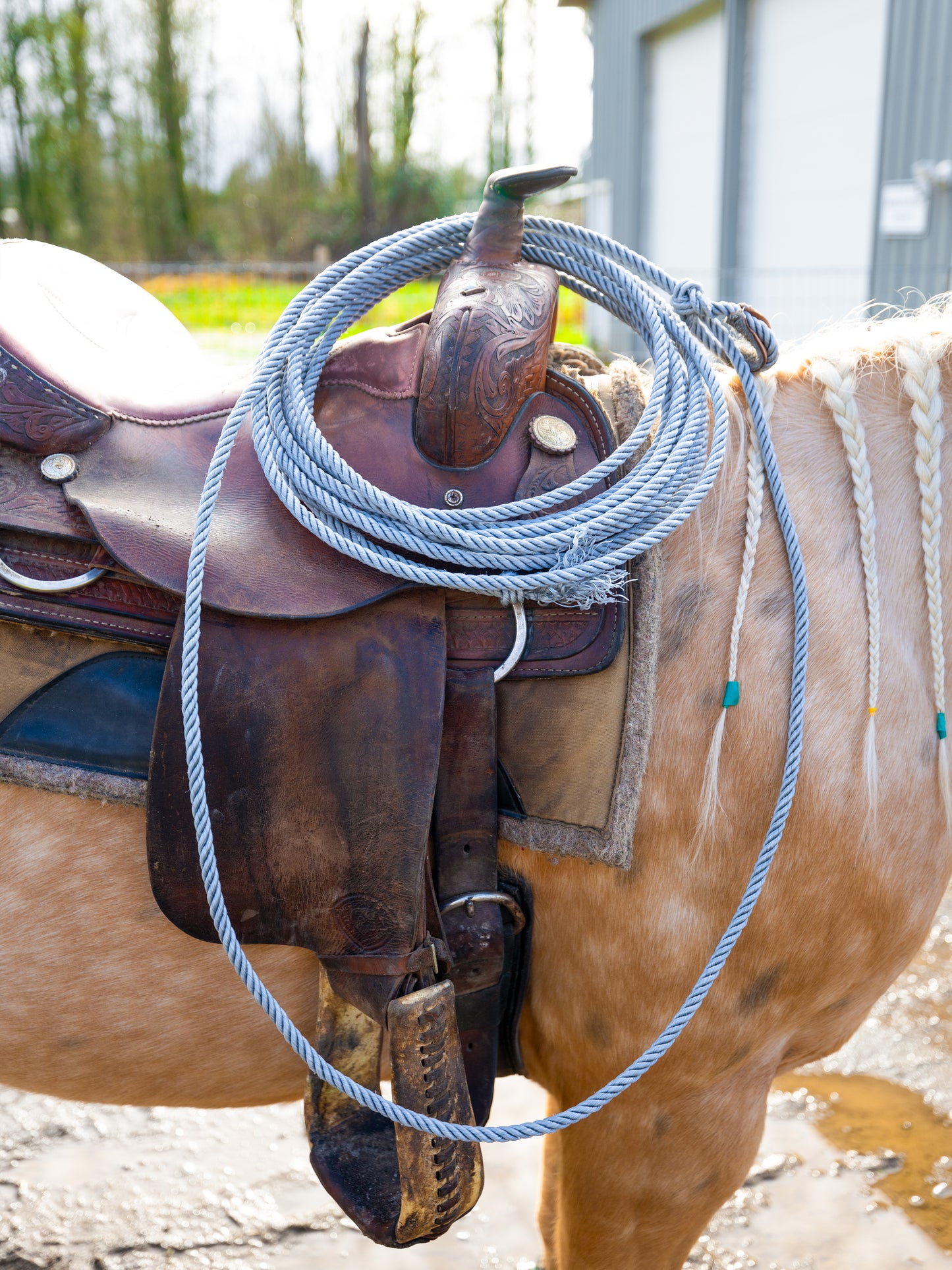 Practice Ropes