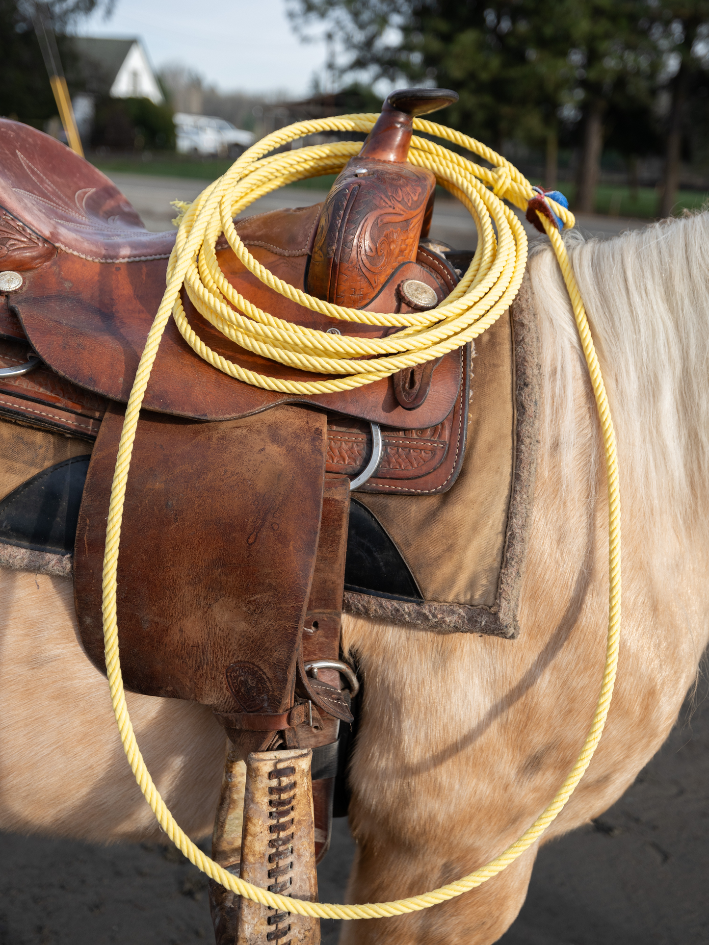 Practice Ropes