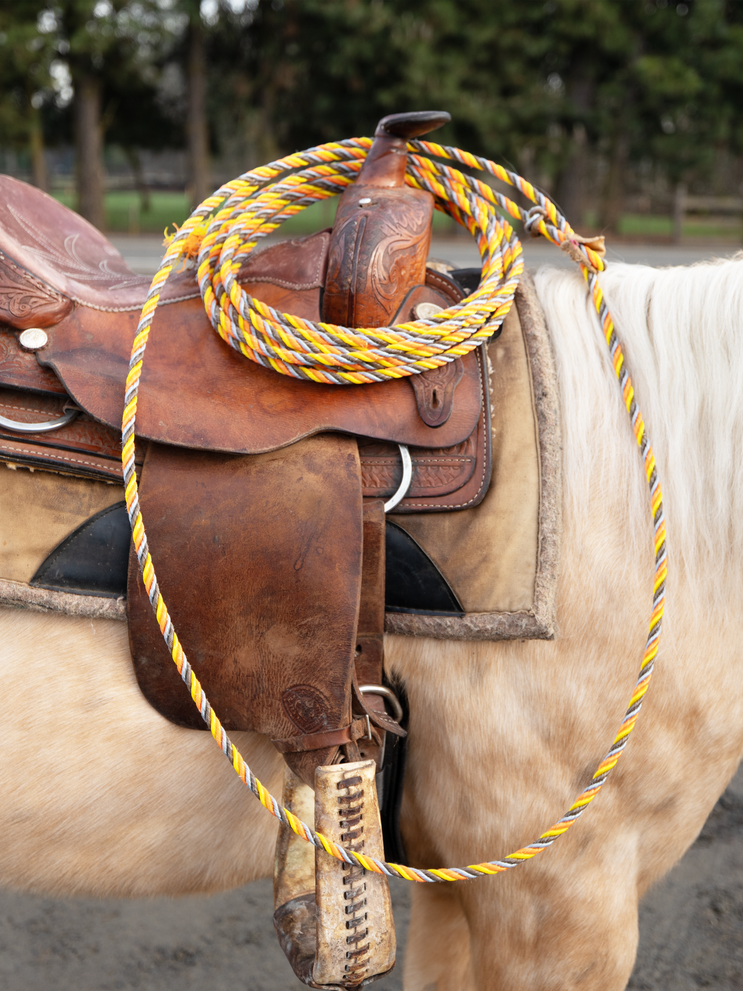 Practice Ropes