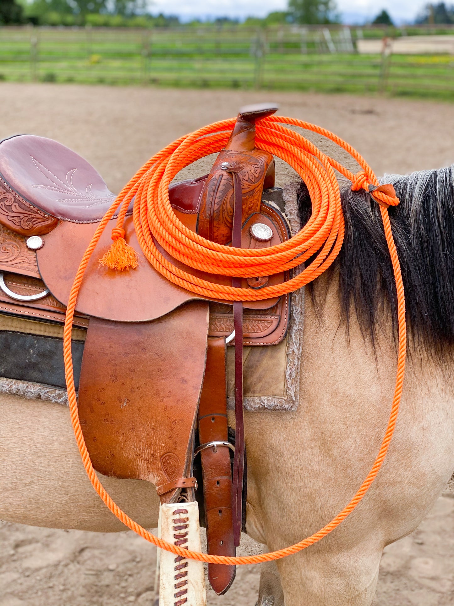 Practice Ropes